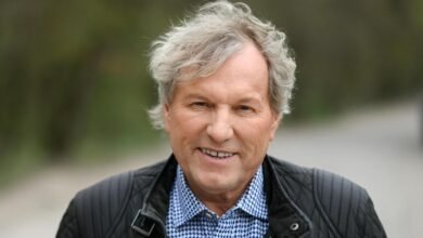 bernhard brink schlaganfall